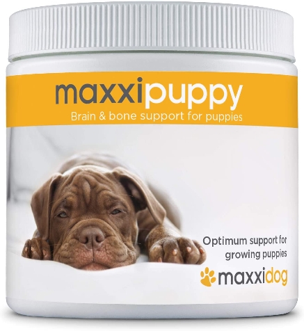 maxxipuppy