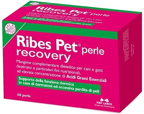 Ribes-Pet Perle Recovery 
